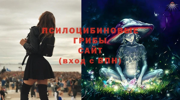 мет Алзамай