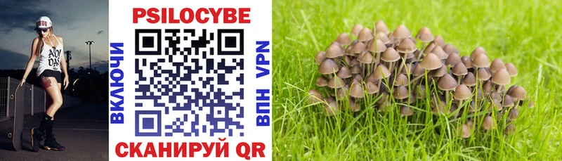 Галлюциногенные грибы Magic Shrooms  как найти   Кинель 