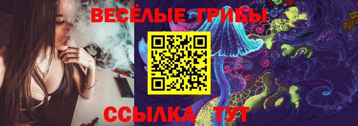 Галлюциногенные грибы ЛСД  Вход с VPN  Кинель  Псилоцибиновые грибы MAGIC MUSHROOMS 