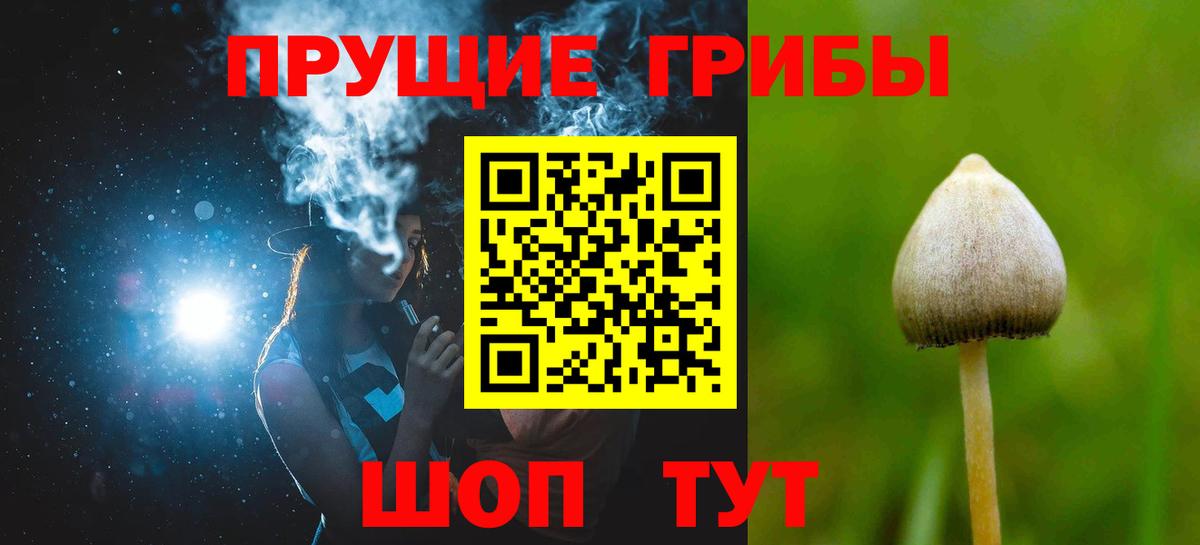 Псилоцибиновые грибы ЛСД Кинель