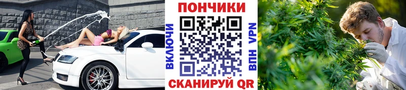 Бошки марихуана планчик  Кинель 